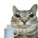 不会MOS的菜鸟的头像-iRightNow-游戏联机社区